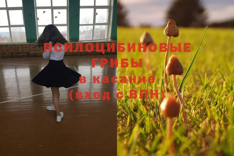 Псилоцибиновые грибы Magic Shrooms  закладка  Коряжма 