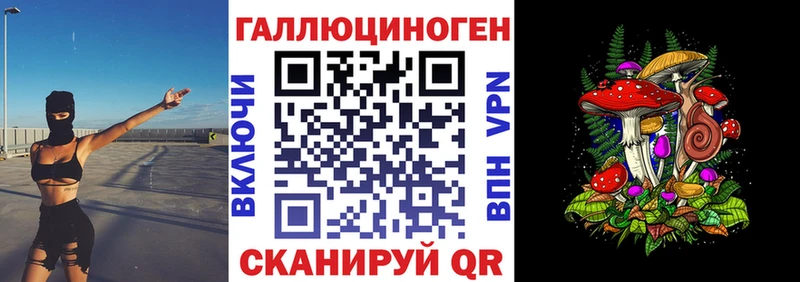 kraken маркетплейс Коряжма darknet официальный сайт Псилоцибиновые грибы Cubensis