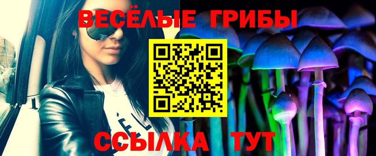 наркошоп  Псилоцибиновые грибы Magic Shrooms  Вход с VPN  Коряжма 