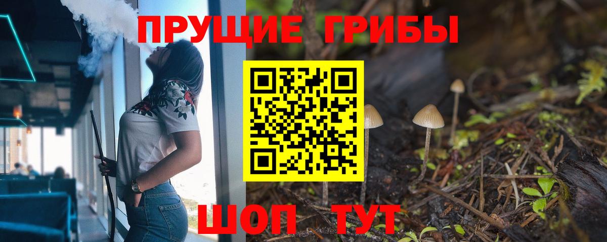 Псилоцибиновые грибы мицелий Коряжма