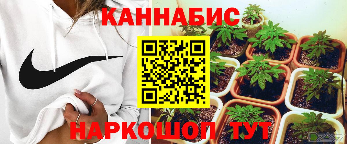 Шишки марихуана план  Каннабис ГИДРОПОН  Вход с VPN  МАРИХУАНА AK-47  Коряжма  Бошки Шишки план 